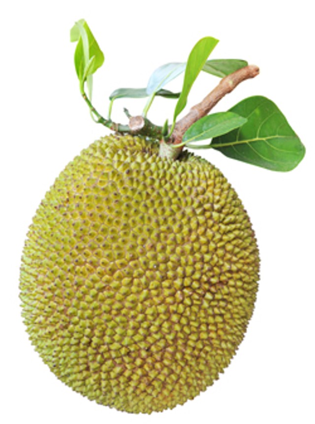 http://www.lavifood.com/en/products/fresh-fruits/jackfruit