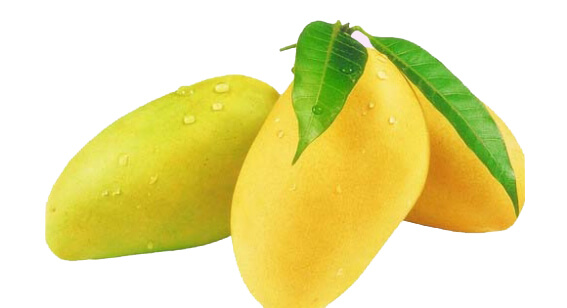 http://www.lavifood.com/en/products/fresh-fruits/mango